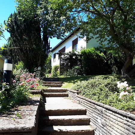 Gruene Oase Und Trotzdem Zentral Apartment ฮาเมลน์ ภายนอก รูปภาพ